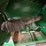 john-deere-735fd-image-48