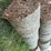30-corn-stalk-bales-image-4