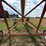 #2927-•-westfield-mk100-61-grain-auger-image-31