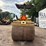 bomag-bw11as-image-8
