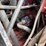 1983-massey-ferguson-4900-image-47