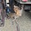 2013-international-durastar-4300-image-46