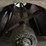 #2915-•-electric-wheat/grain-fanning-mill-trailer-image-25