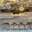 caterpillar-d5c-xl-image-51