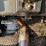 deere-648d-image-45