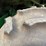john-deere-6620-image-54