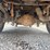 2017-ford-f350-image-58