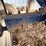 #2910-•-blue-jet-at3000-liquid-fertilizer-image-20