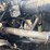 2000-ford-2000-image-26