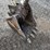 2004-bobcat-325g-image-8