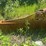 caterpillar-d9r-image-10