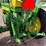 john-deere-530-image-35
