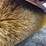 broce-rj350-image-20
