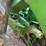 john-deere-630-image-36