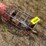 #2926-•-feterl-grain-auger-image-6