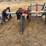 united-farm-tools-image-10