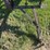 john-deere-14-image-10