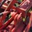 allis-chalmers-snap-coupler-10’-disk-image-21