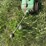 john-deere-transaxle-image-4