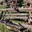 international-14-image-39