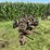 john-deere-14-image-5
