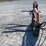#l85-006-•-landhonor-hydraulic-pallet-fork-skid-steer-attachment-image-3