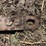 john-deere-7-image-8