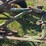 john-deere-214-image-37
