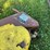 john-deere-mower-deck-image-4