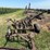 international-14-image-2