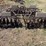 john-deere-7-image-5