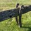 26”-one-bottom-horse-drawn-plow-image-12