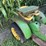 john-deere-110-image-4