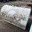 #2778-•-approx.5'x3'-tank-image-4