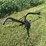 14”-walking-plow-image-3