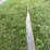 8”-walking-plow-image-16
