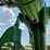 john-deere-6430-image-95