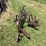 john-deere-14-image-6