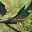 john-deere-12-image-10