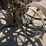 john-deere-290-image-45