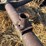 john-deere-11-image-12