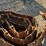 metal-tracks-image-2