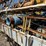 caterpillar-3306-image-10