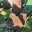 john-deere-f680-image-39