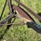 14”-walking-plow-image-7
