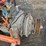 cummins-6bt-image-6