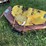 john-deere-mower-deck-image-7