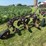 john-deere-55-abh-image-5