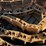 metal-tracks-image-5