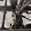 2004-ford-f350-image-56